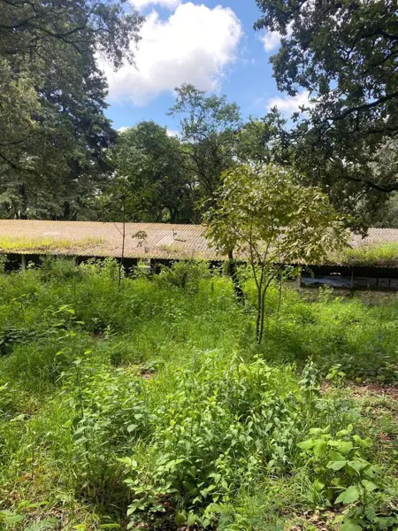 Terreno en venta en Huertas de San Pedro, Huitzilac — foto 3 de 12