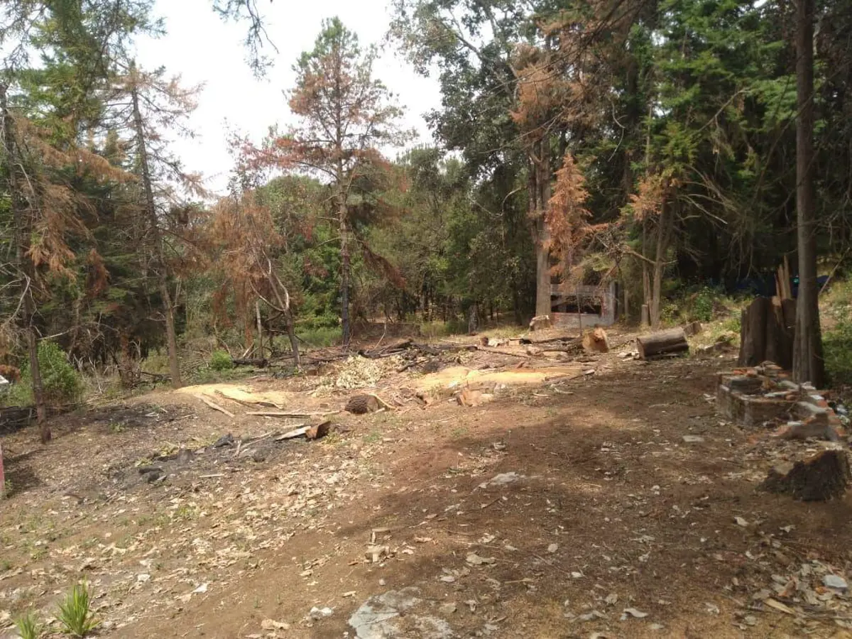 Terreno en venta en San José, Huitzilac — foto 1 de 8