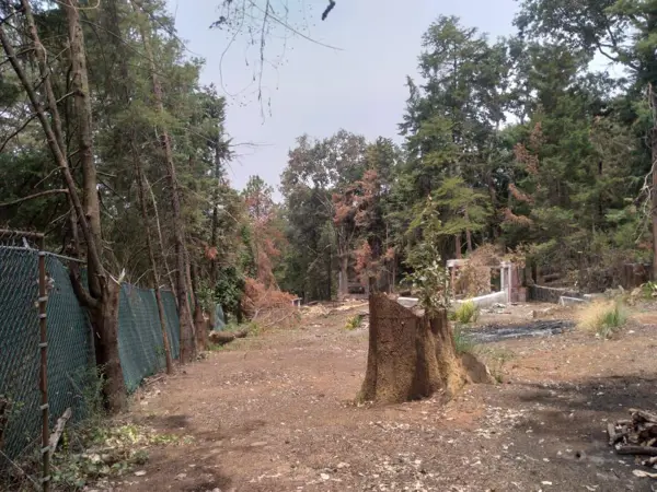Terreno en venta en San José, Huitzilac — foto 3 de 8