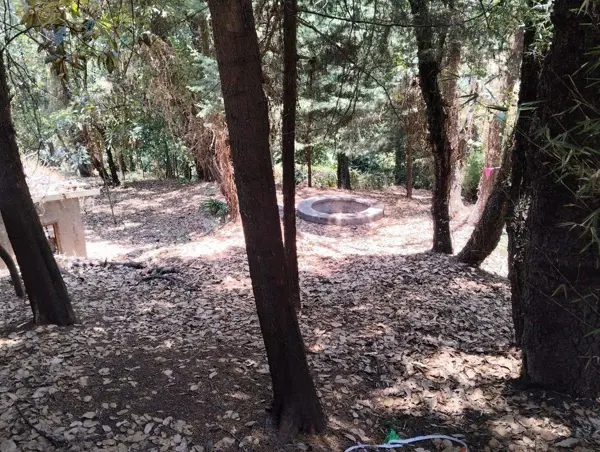 Terreno en venta en María Candelaria, Huitzilac — foto 3 de 20