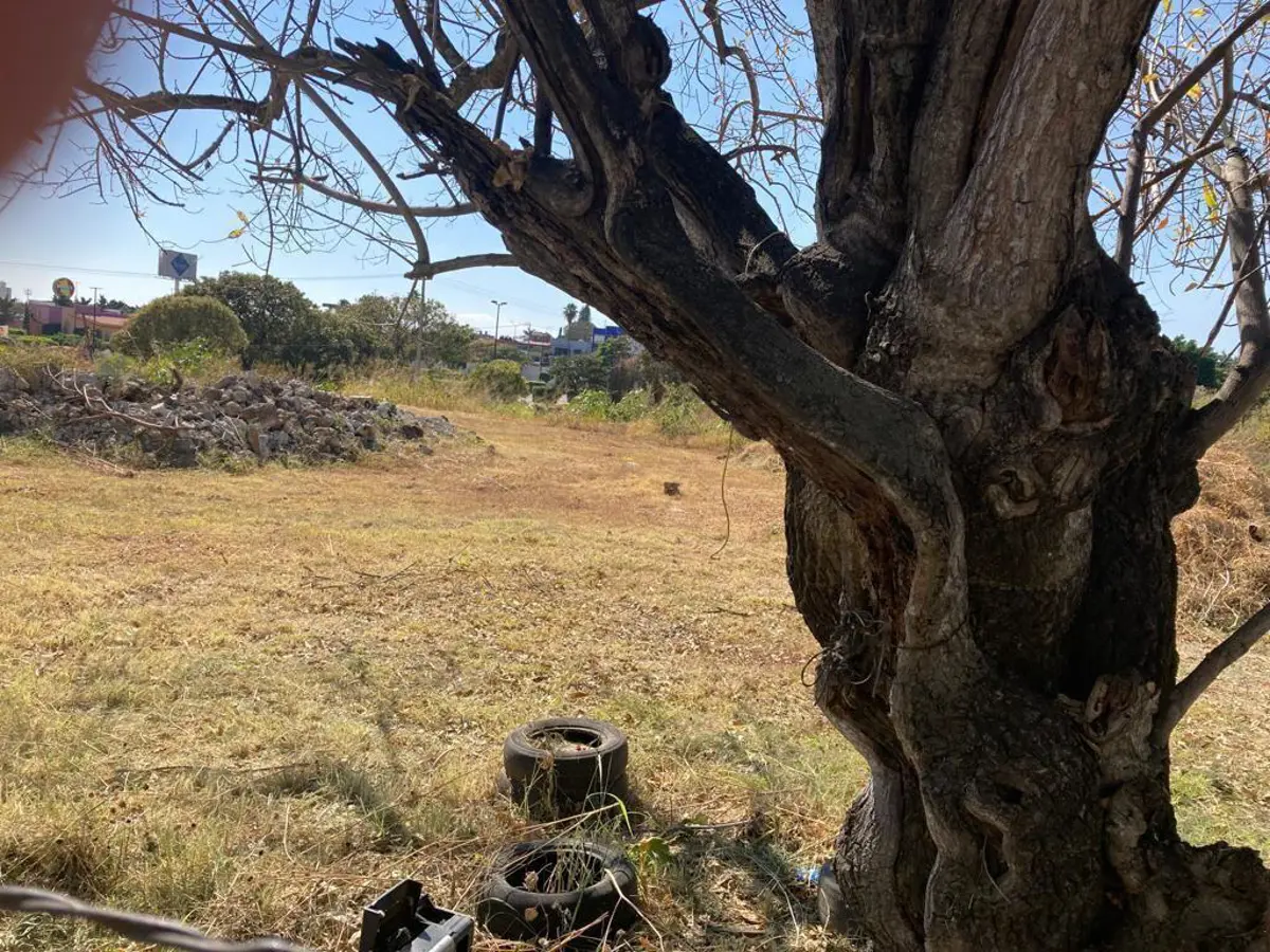 Terreno en venta en Reforma, Cuernavaca — foto 1 de 5
