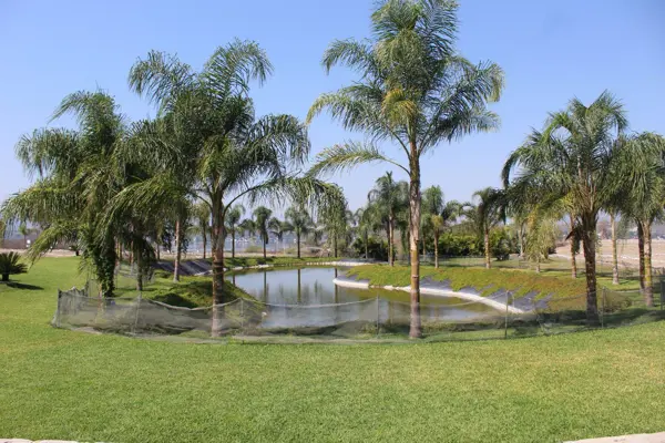 Terreno en venta en Tequesquitengo, Jojutla — foto 3 de 12