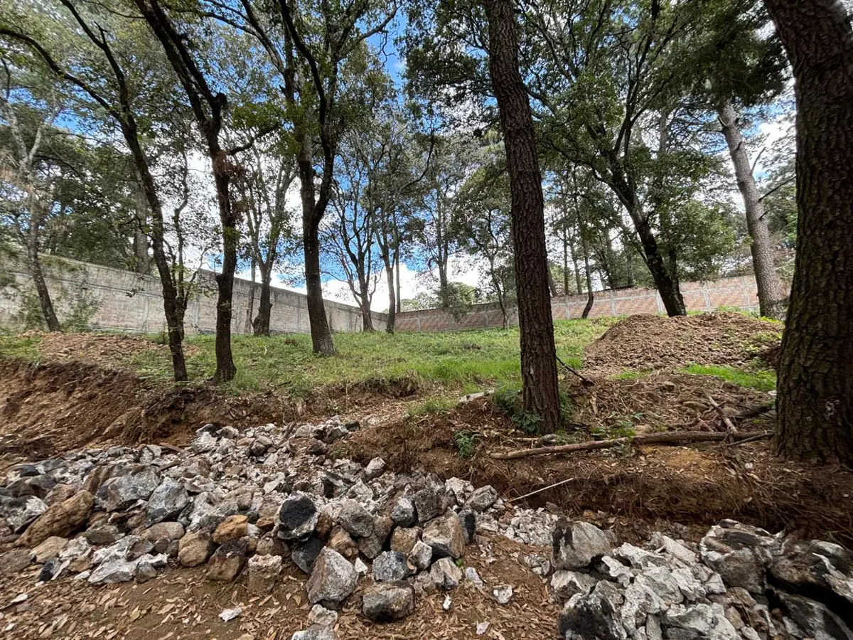 Terreno en venta en Tezontlalpa, Huitzilac — foto 1 de 9