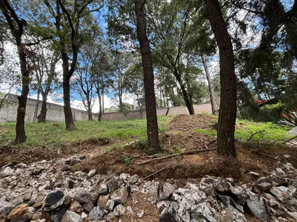 Terreno en venta en Tezontlalpa, Huitzilac — foto 3 de 9