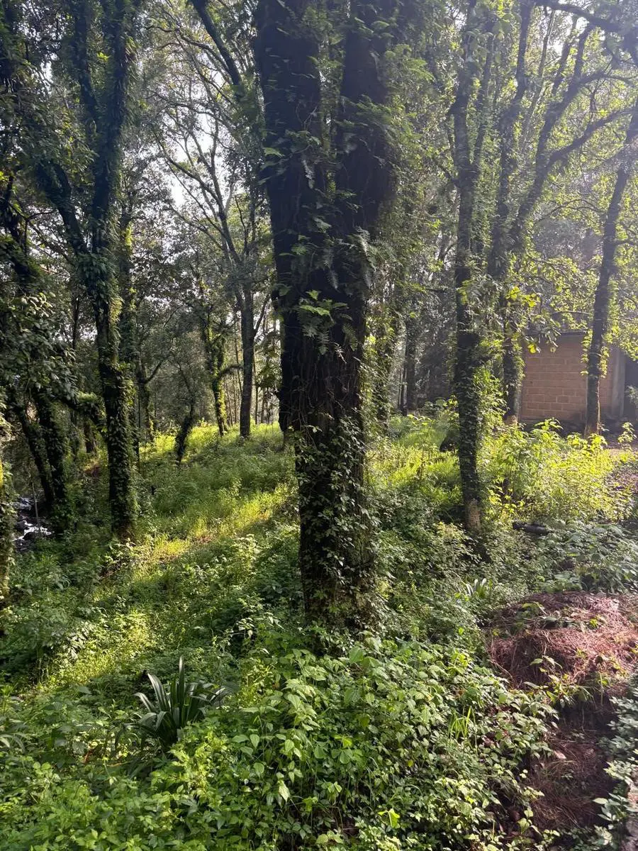 Terreno en venta en Huertas de San Pedro, Huitzilac — foto 1 de 6