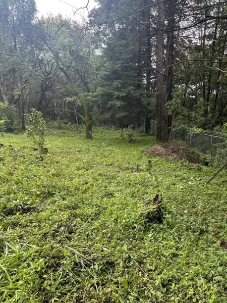 Terreno en venta en Huertas de San Pedro, Huitzilac — foto 2 de 6