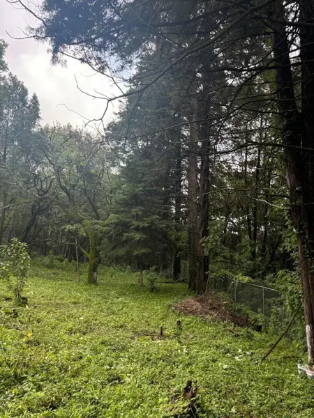 Terreno en venta en Huertas de San Pedro, Huitzilac — foto 3 de 6