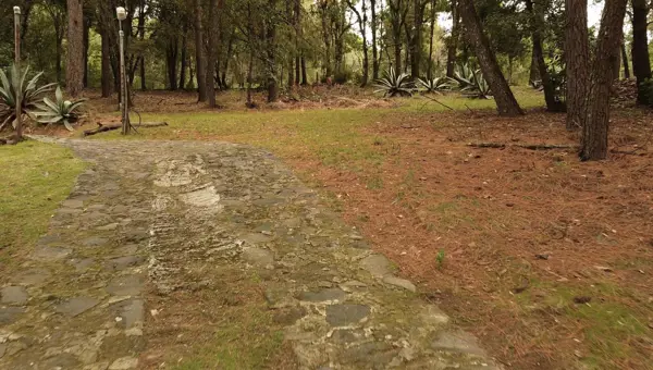 Terreno en venta en Huertas de San Pedro, Huitzilac — foto 2 de 5