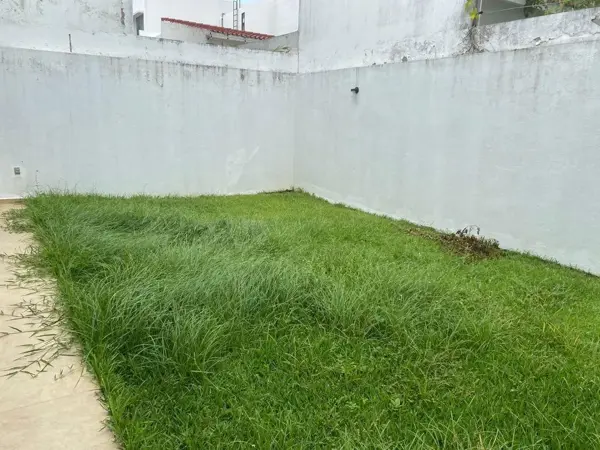 Casa en renta en Las Lomas Residencial, Alvarado — foto 3 de 18