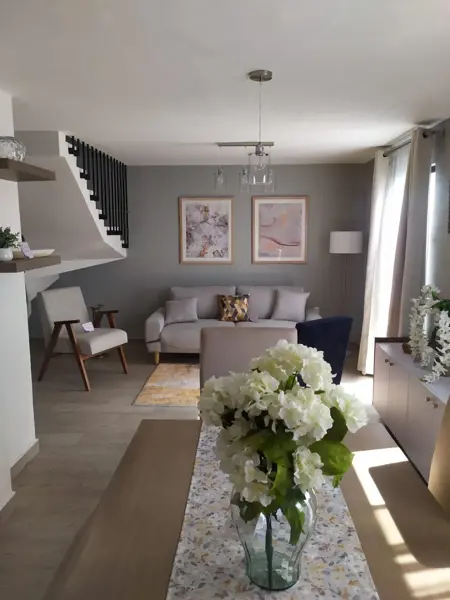 Casa en venta en Paseos de Chavarría, Mineral de la Reforma — foto 3 de 9