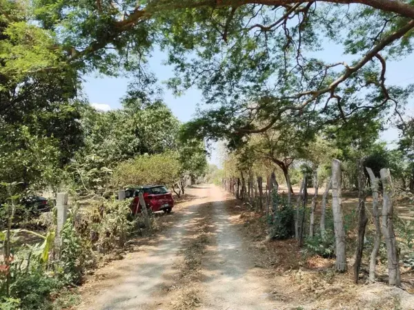 Terreno en venta en Nandambua 1a Sección, Chiapa de Corzo — foto 3 de 7