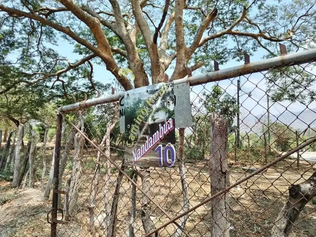 Terreno en venta en Nandambua 1a Sección, Chiapa de Corzo — foto 1 de 7