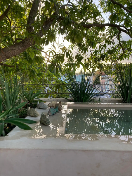 Casa en renta en Merida Centro, Mérida — foto 3 de 27