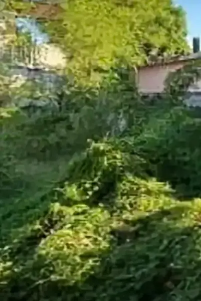 Terreno en venta en Veracruz Centro, Veracruz — foto 2 de 4