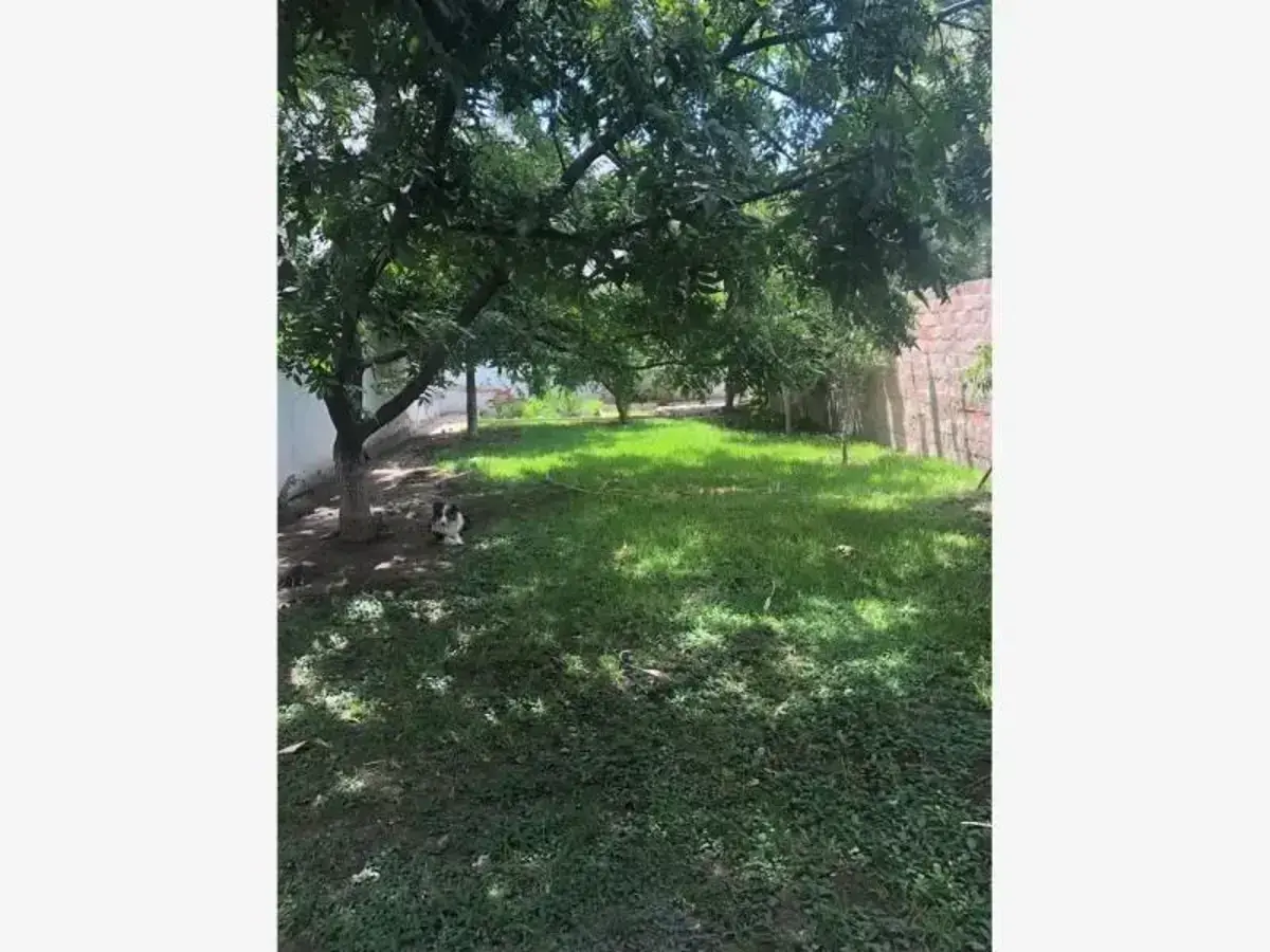 Casa en Renta en Palmas la Rosita, Torreón, Coahuila de Zaragoza