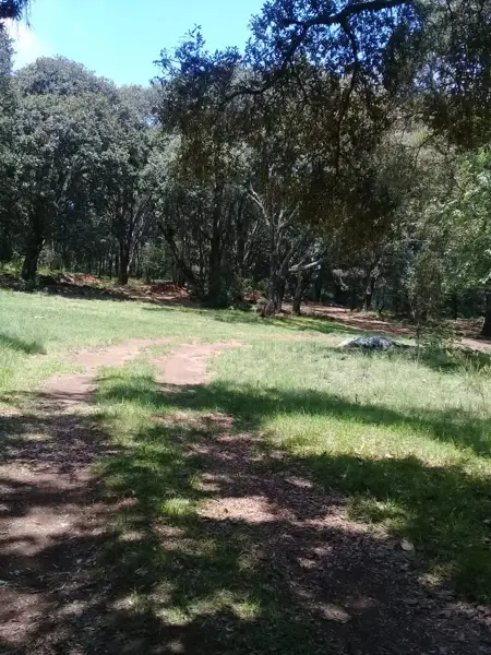 Terreno en venta en Canalejas, Jilotepec — foto 2 de 16