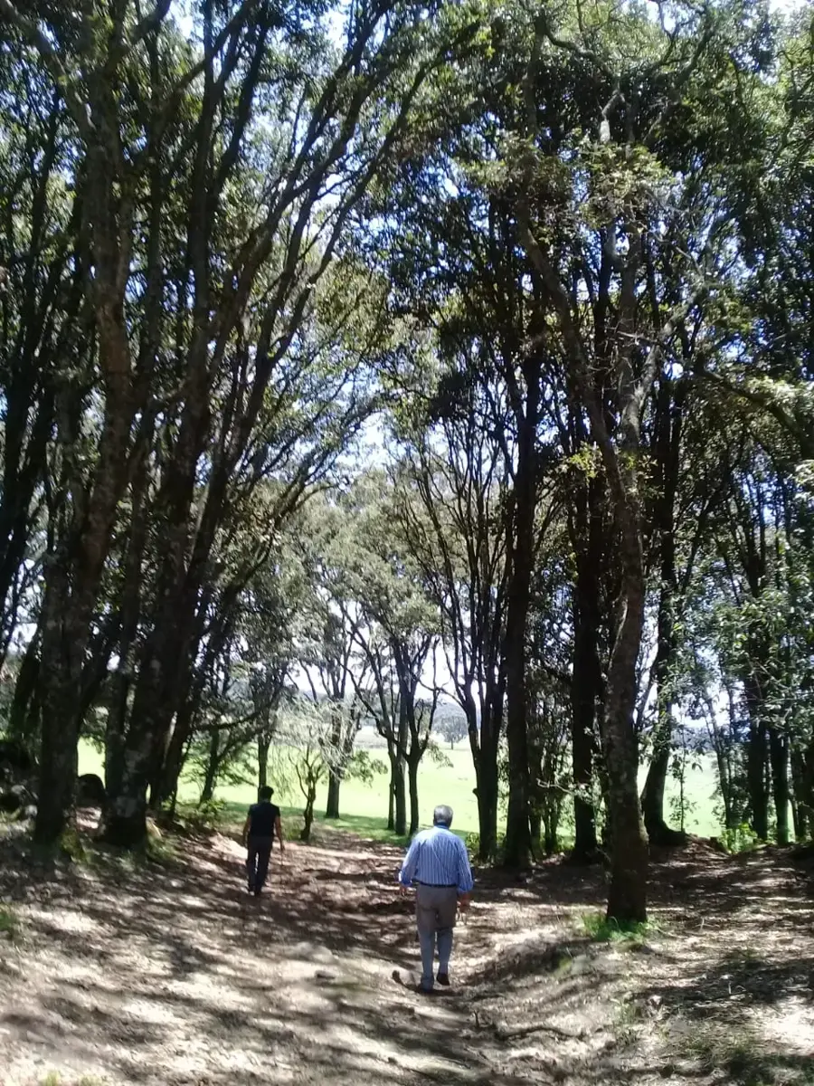Terreno en venta en Canalejas, Jilotepec — foto 1 de 16