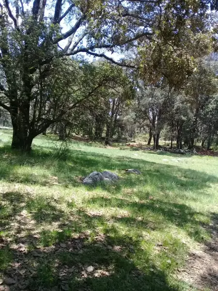 Terreno en venta en Canalejas, Jilotepec — foto 3 de 16