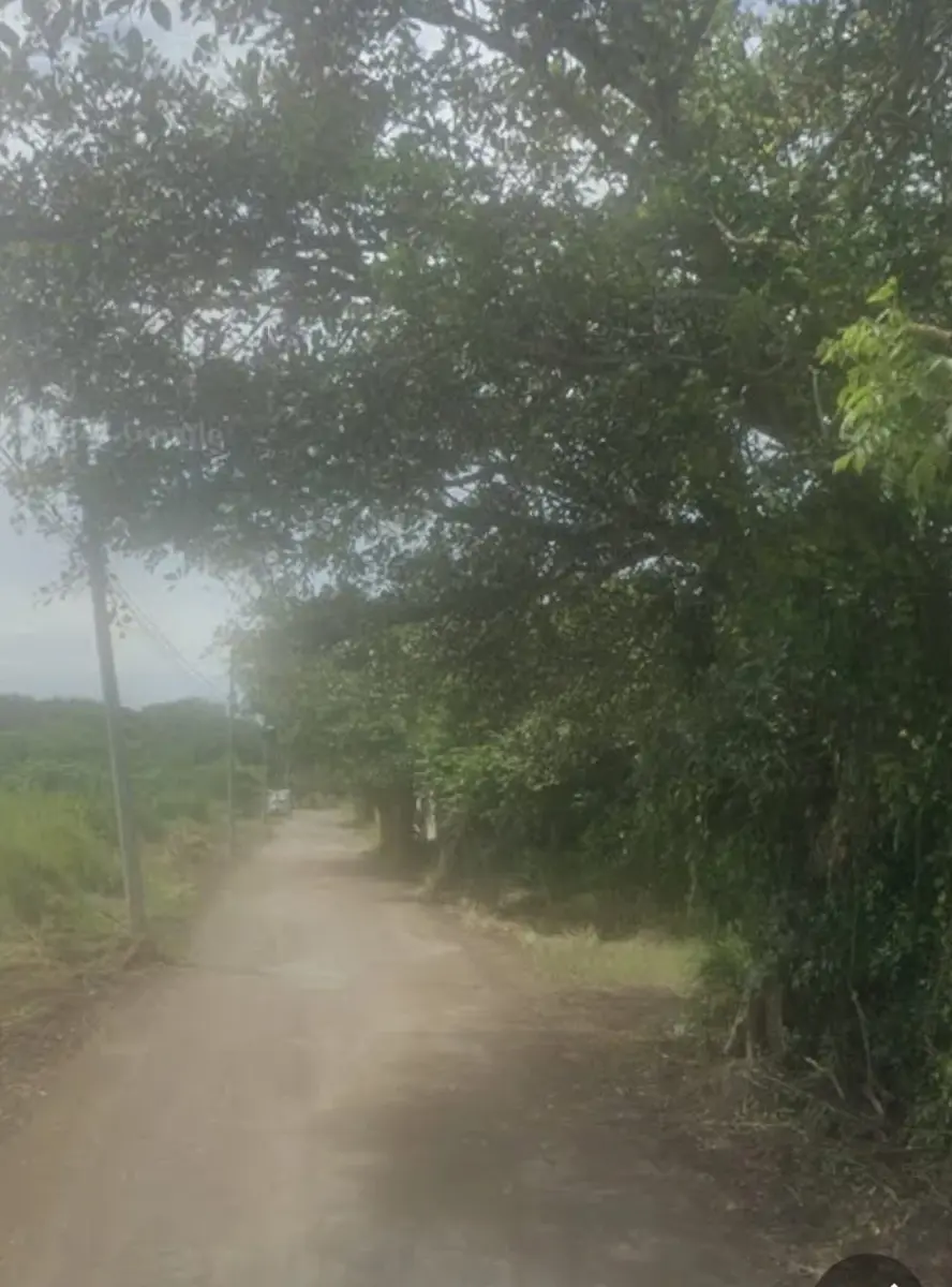 Terreno en venta en Paso Colorado, Boca del Río — foto 1 de 3