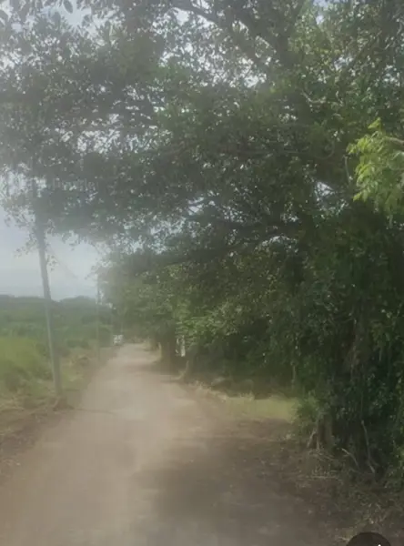 Terreno en venta en Paso Colorado, Boca del Río, Veracruz de Ignacio de la Llave