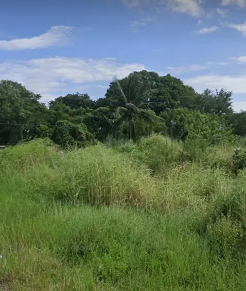 Terreno en venta en Paso Colorado, Boca del Río — foto 2 de 3