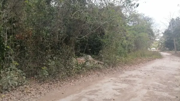 Terreno en venta en Aarón Merino, Bacalar — foto 2 de 4