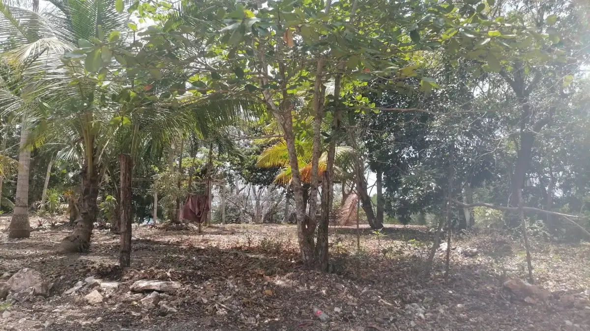 Terreno en venta en Aarón Merino, Bacalar — foto 1 de 4