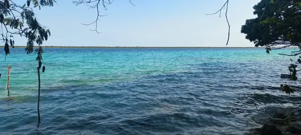 Terreno en venta en Buenavista, Bacalar — foto 2 de 7