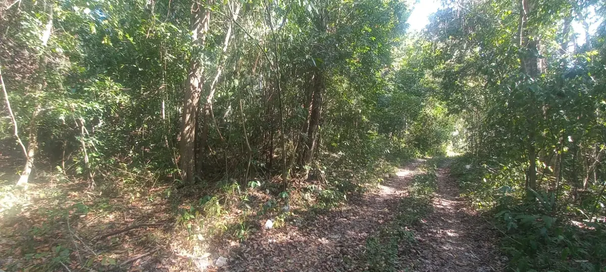 Terreno en venta en Buenavista, Bacalar — foto 1 de 7