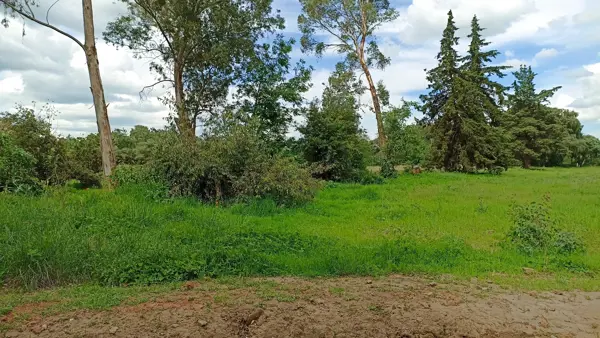 Terreno en venta en San Jerónimo, Aculco — foto 2 de 12