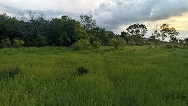 Terreno en venta en Santa Ana Matlavat Centro, Aculco — foto 2 de 12