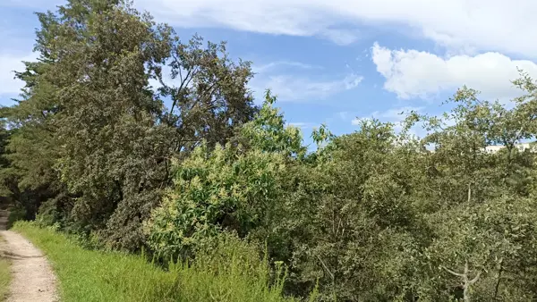 Terreno en venta en San Jerónimo, Aculco — foto 2 de 13