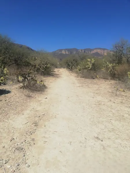 Terreno en venta en Tehuacán (Tehuacán), Tehuacán — foto 2 de 8