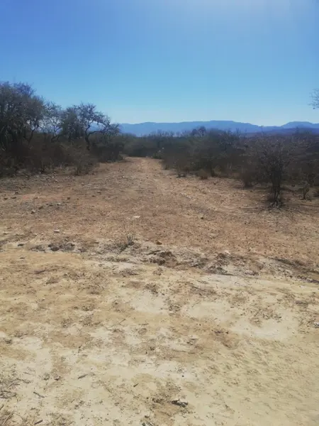 Terreno en venta en Tehuacán (Tehuacán), Tehuacán — foto 3 de 8