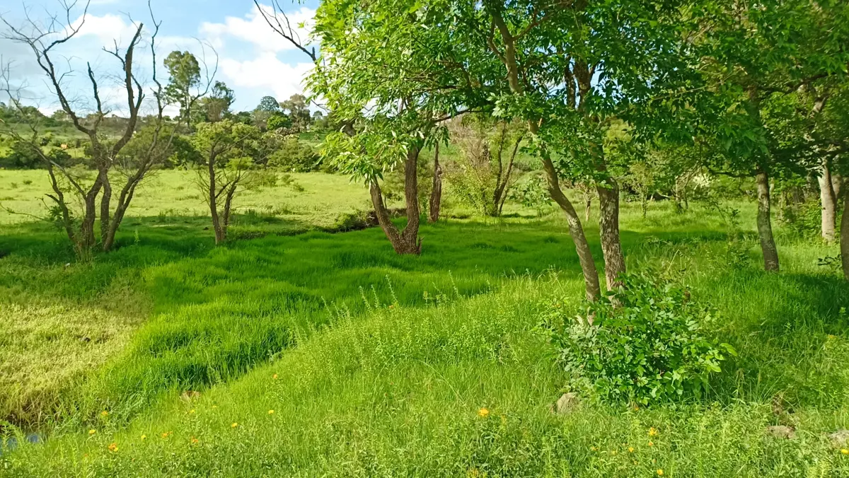 Terreno en venta en Santa María Nativitas, Aculco — foto 1 de 20