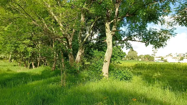 Terreno en venta en Santa María Nativitas, Aculco — foto 2 de 20
