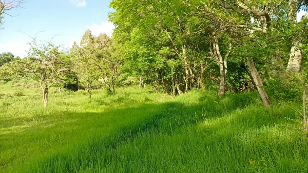 Terreno en venta en Santa María Nativitas, Aculco — foto 3 de 20