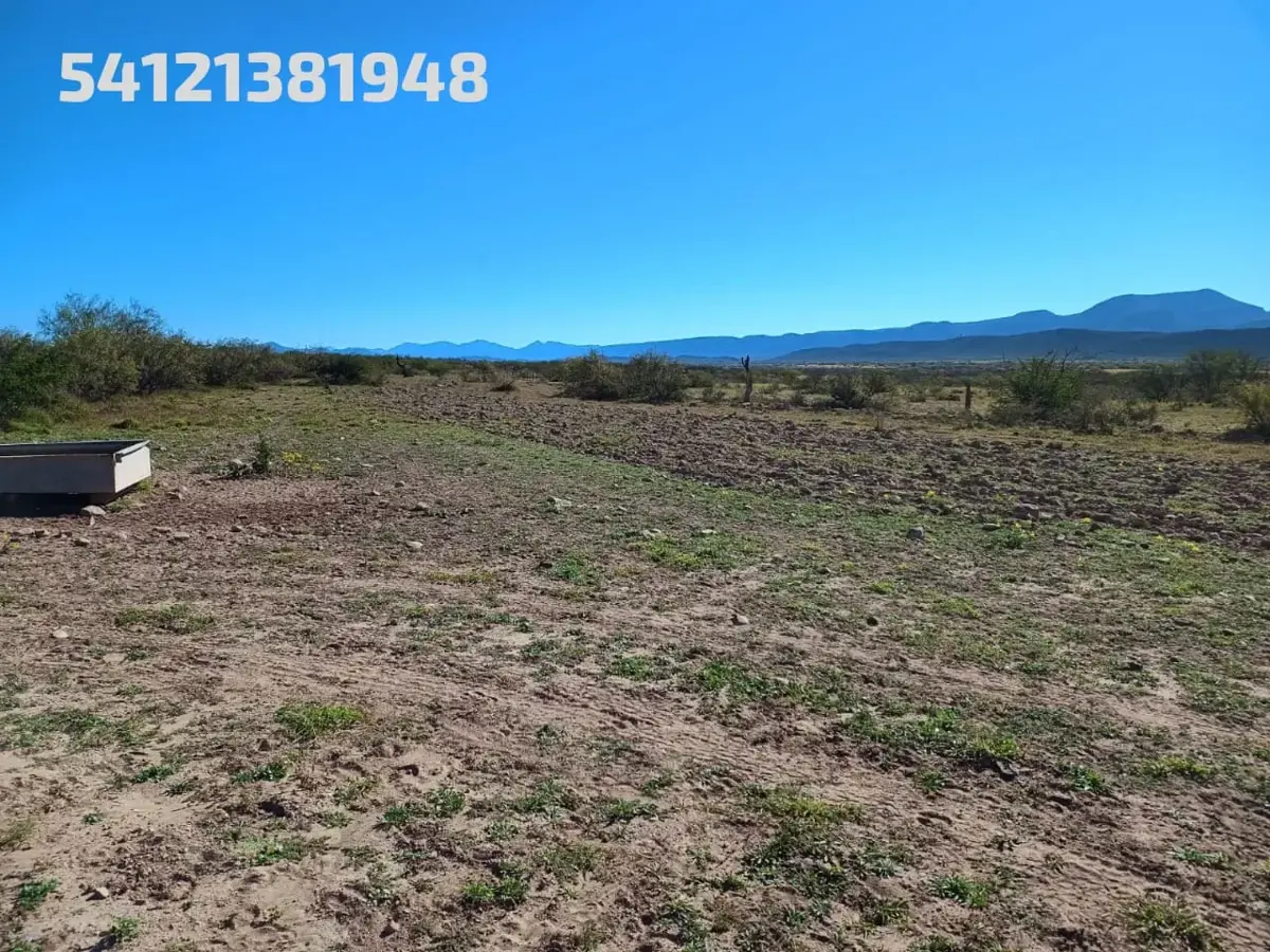 Terreno en venta en General Cepeda, General Cepeda — foto 1 de 24