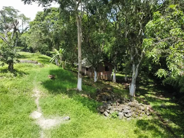 Terreno en venta en La Estanzuela, Emiliano Zapata — foto 3 de 8