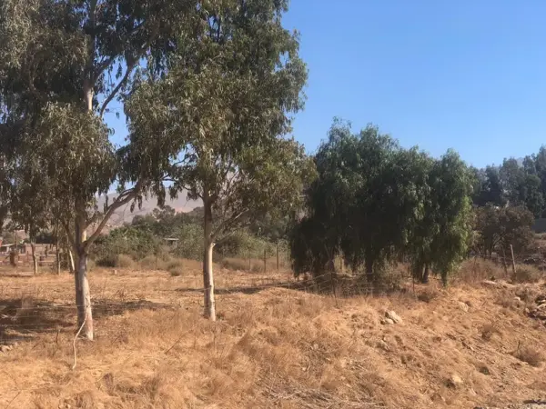 Terreno en venta en Valle de las Palmas, Tecate — foto 2 de 6