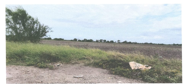 Terreno en venta en La Luz, Matamoros — foto 3 de 3