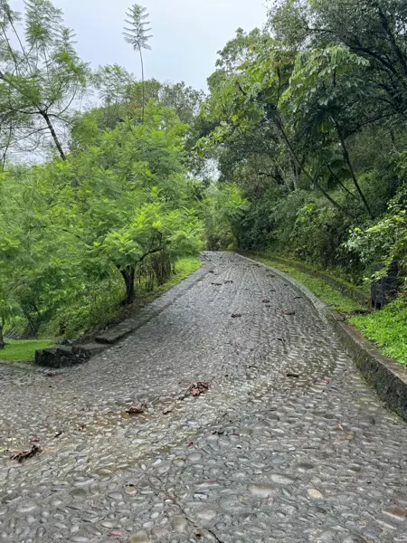 Terreno en venta en Los Carriles, Coatepec — foto 3 de 10