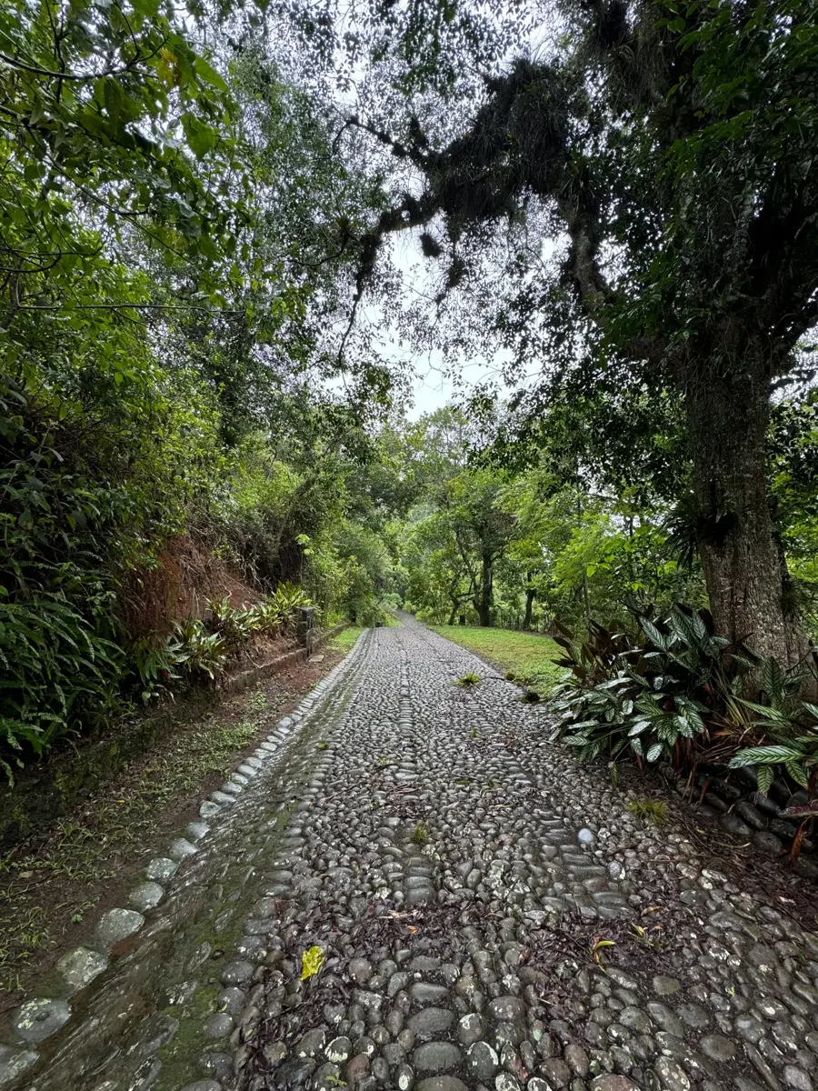 Terreno en venta en Los Carriles, Coatepec — foto 1 de 10