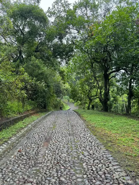 Terreno en venta en Los Carriles, Coatepec — foto 2 de 10