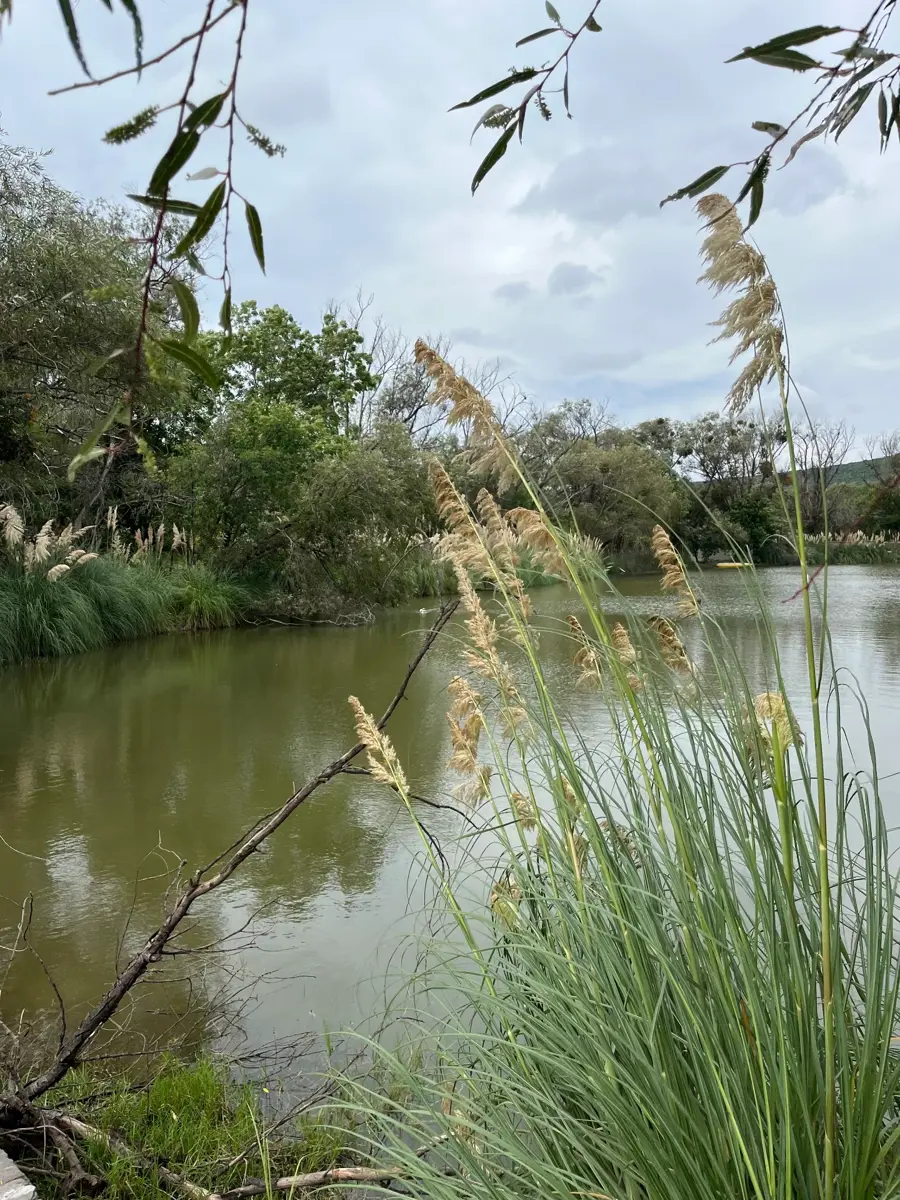 Terreno en venta en El Encino, Huimilpan — foto 1 de 6