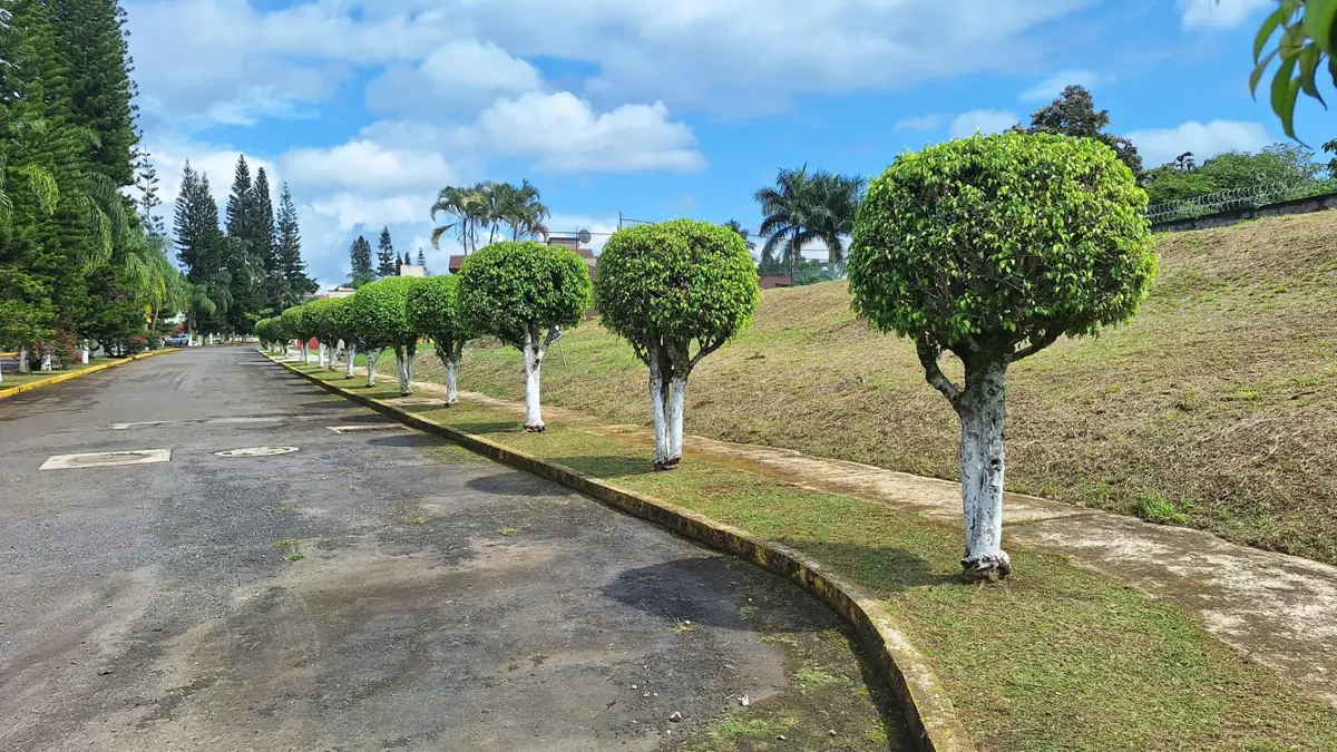 Terreno en venta en Lomas de la Llave, Fortín — foto 1 de 17