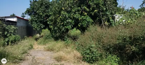 Casa en venta en Cuautlixco, Cuautla — foto 3 de 8