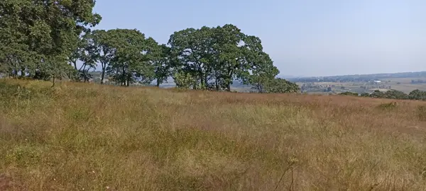 Finca-Rancho en venta en San Juan Dehedó, Amealco de Bonfil — foto 2 de 27