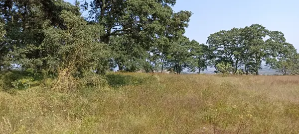 Finca-Rancho en venta en San Juan Dehedó, Amealco de Bonfil — foto 3 de 27