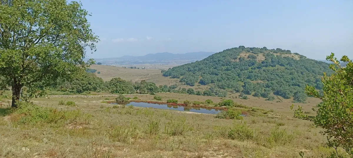 Finca-Rancho en venta en San Juan Dehedó, Amealco de Bonfil — foto 1 de 27